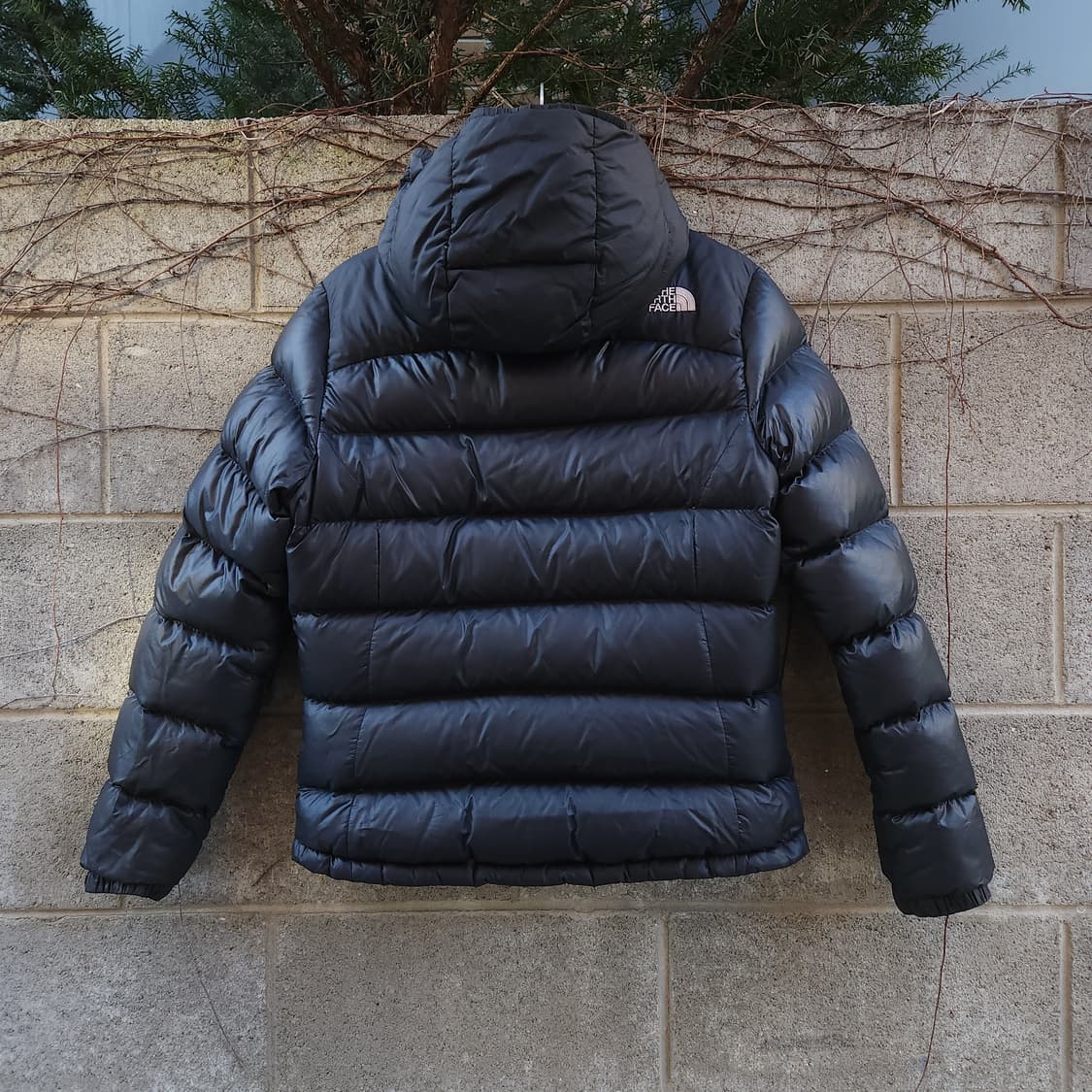 [90] 노스페이스 눕시 700 경량패딩 상품이미지4