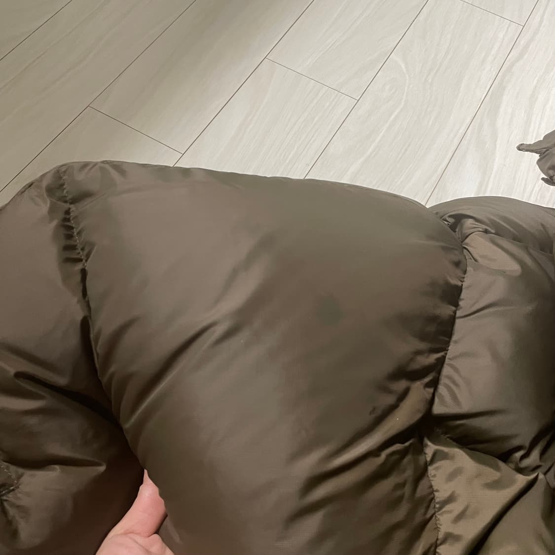 누마레 ee 숏패팅 우먼 M 상품이미지7