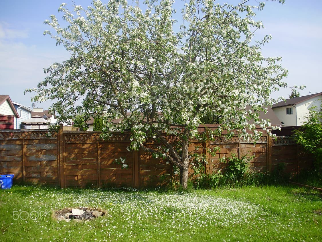 (레트로 색상💿) 올림푸스 OLYMPUS FE-330  상품이미지7