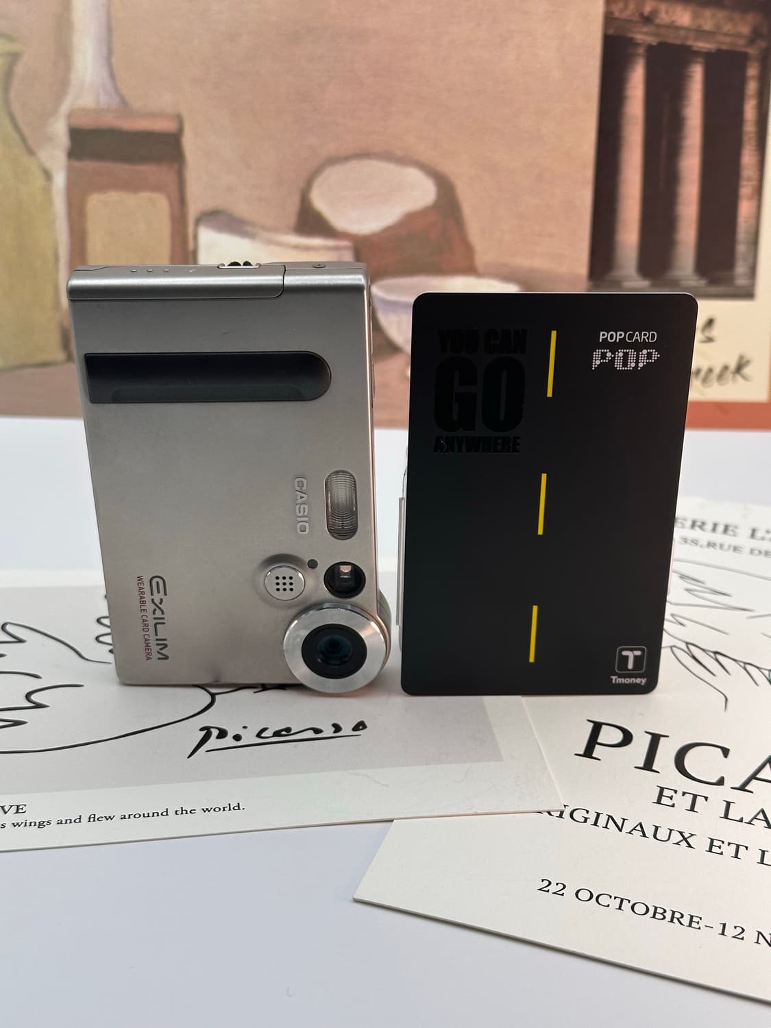 CASIO EXILIM EX-M1 상품이미지5