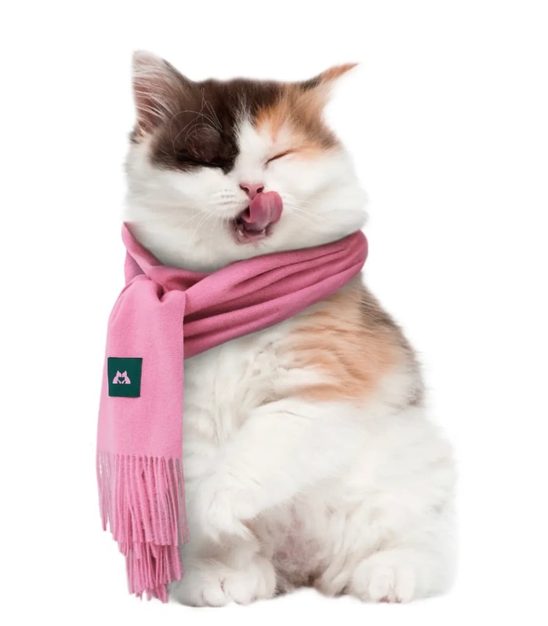 잇자바이브 나의 고양이가 좋아하는 머플러 상품이미지1