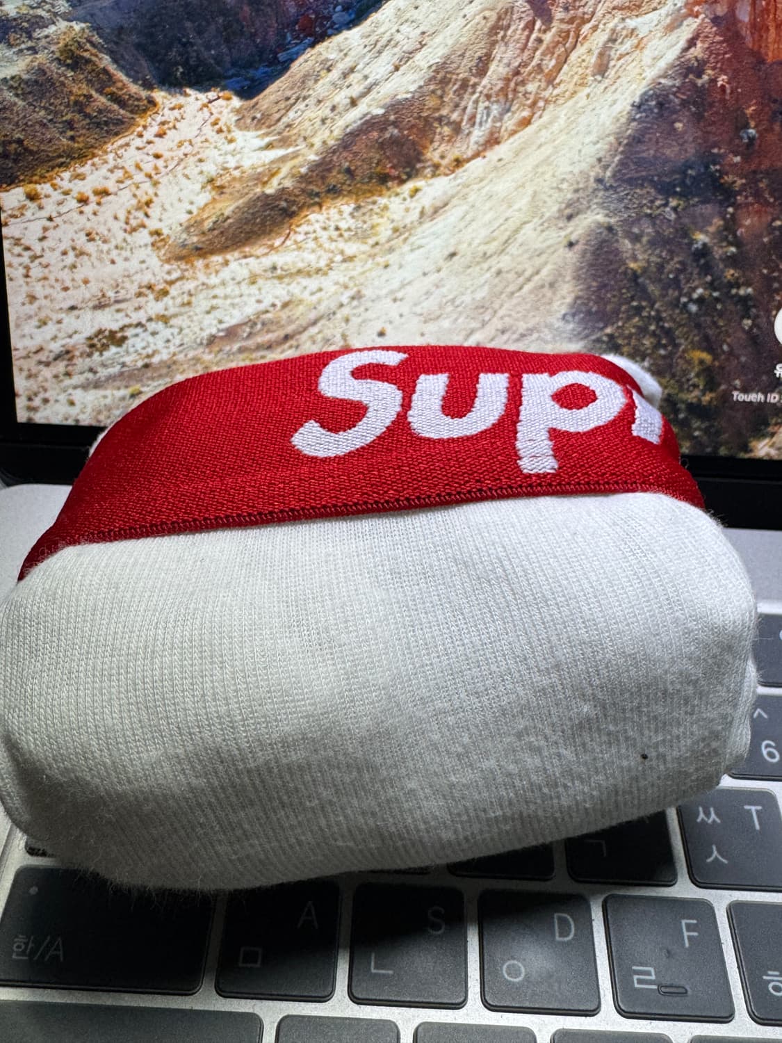 슈프림 s 타이즈 상품이미지3