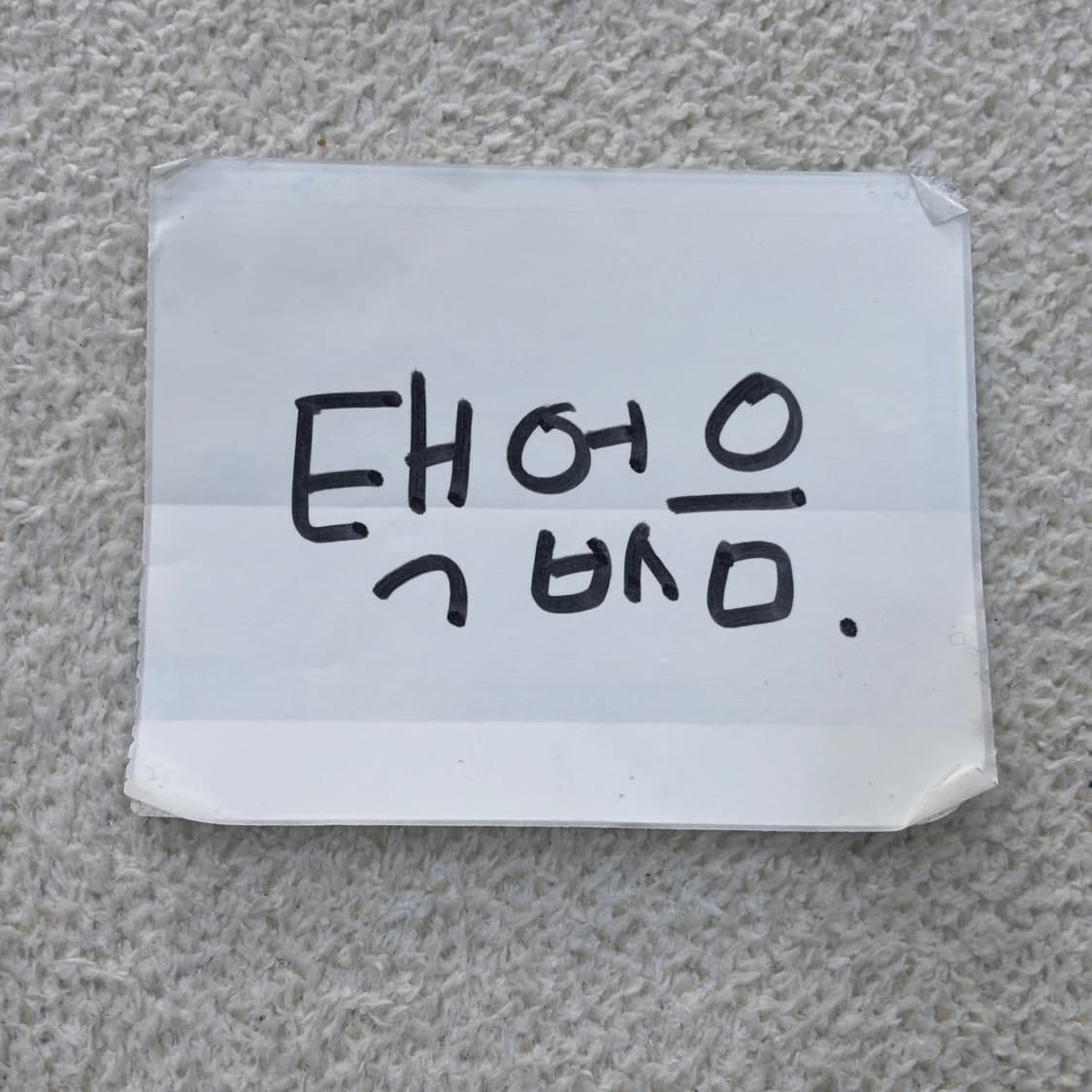 실측확인 요지야마모토 맨투맨 티셔츠 0319E 상품이미지4