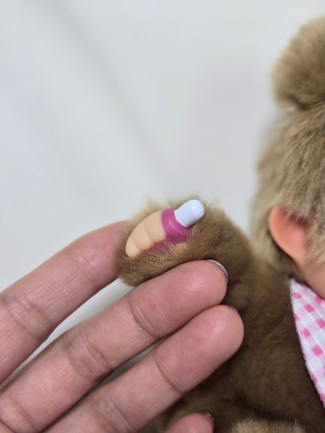 몬치치 베어치치 상품이미지7