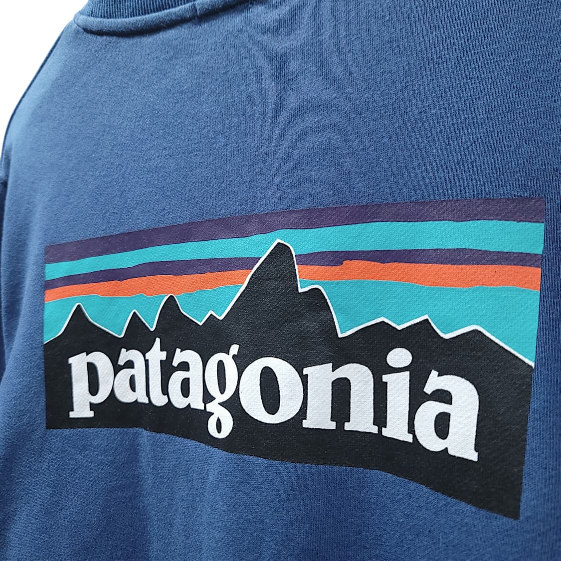 [L] 파타고니아 블루 피츠로이 업라이절 크루넥 맨투맨 상품이미지6