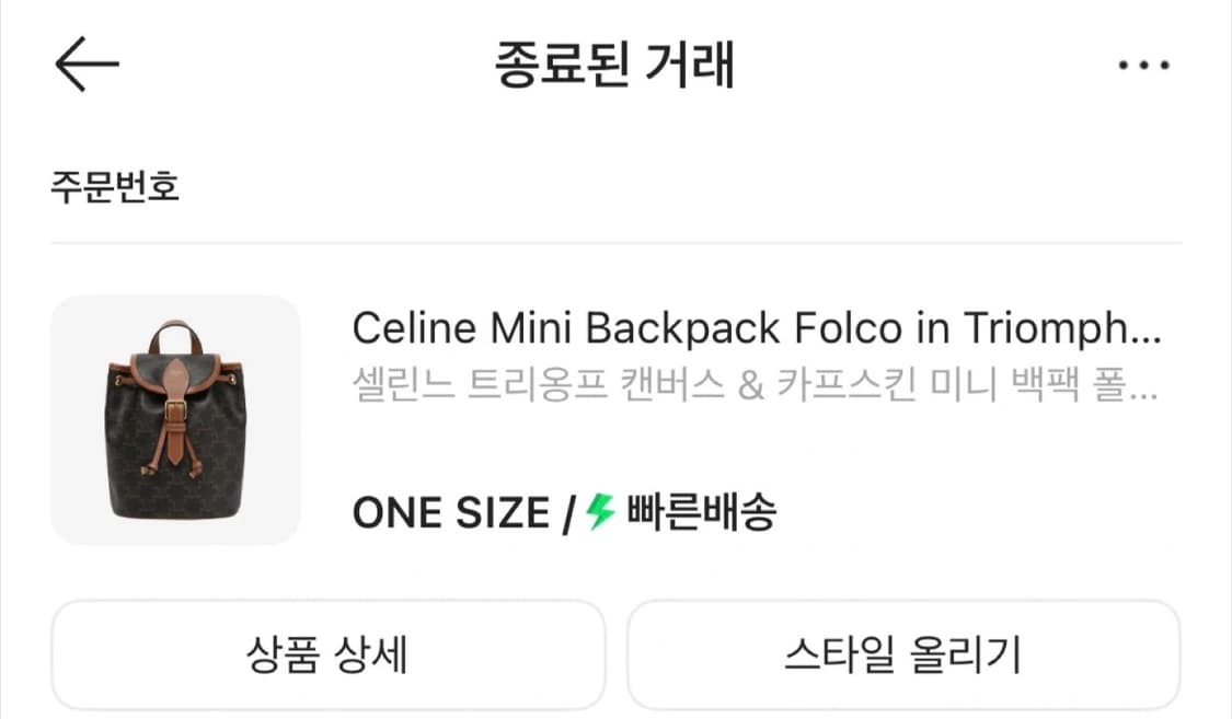 셀린느 트리옹프 캔버스 & 카프스킨 미니 백팩 폴코 탄 상품이미지7