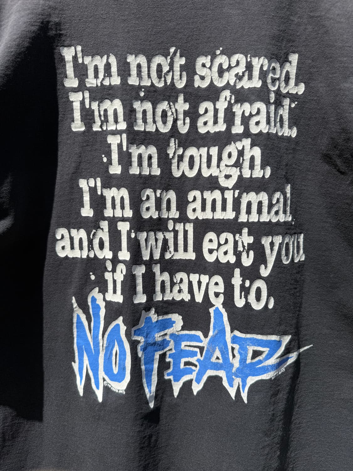 No Fear 90s 노피어 티셔츠 상품이미지5