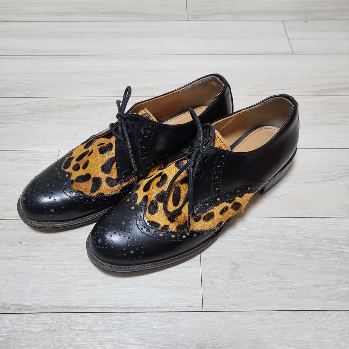 (240) 쇼쉬르라팡 송치 윙팁 레오파드 구드 상품이미지1