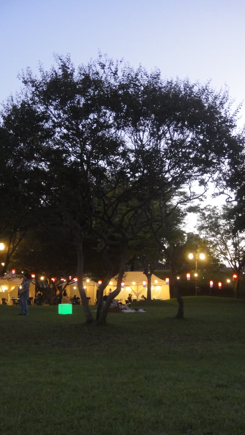 sony dsc-tx7 소니 디카 상품이미지5