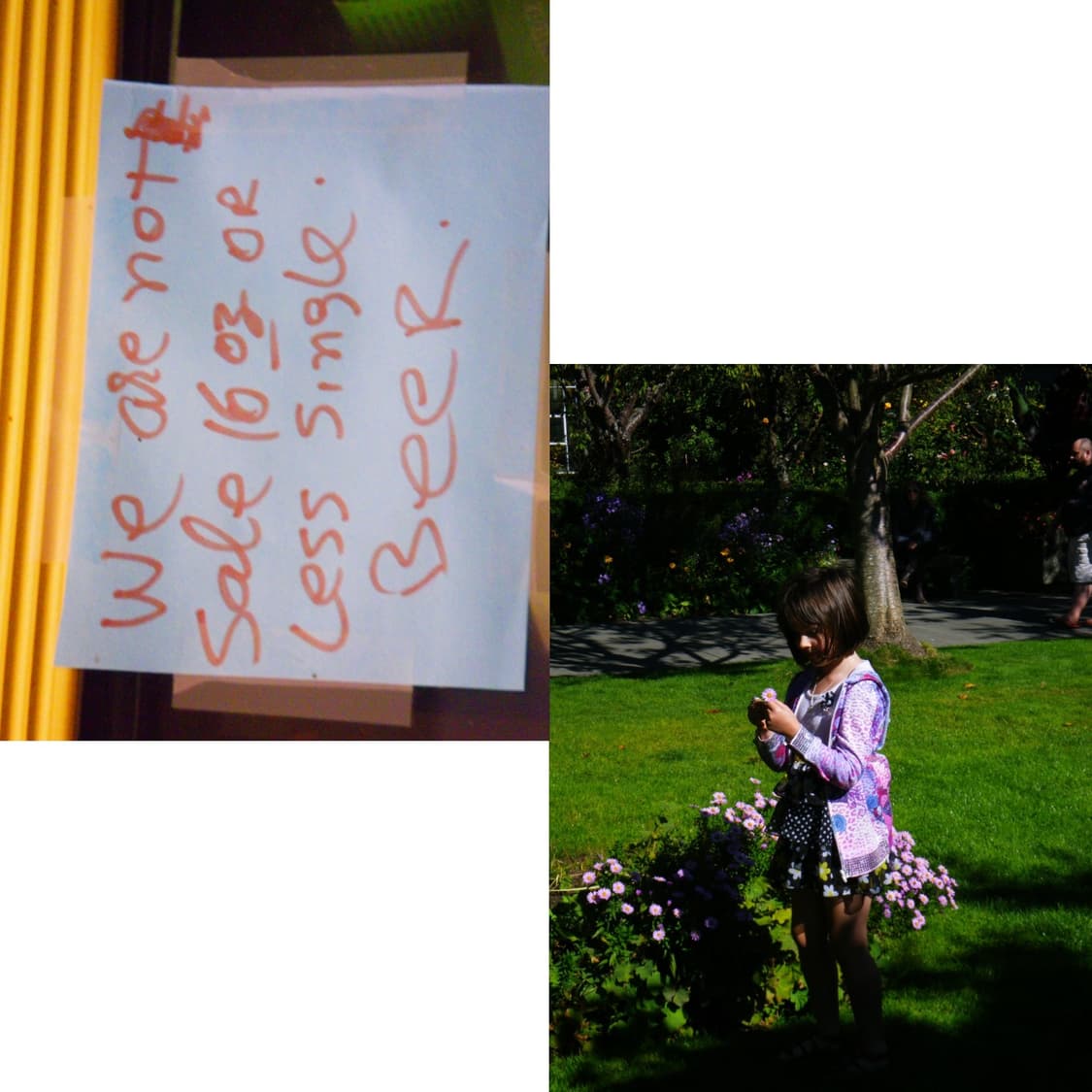 펜탁스 옵티오 w80 (작례 0) 상품이미지4