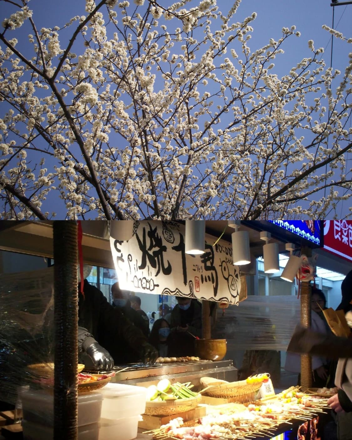 코닥 이지쉐어 C530 상품이미지5