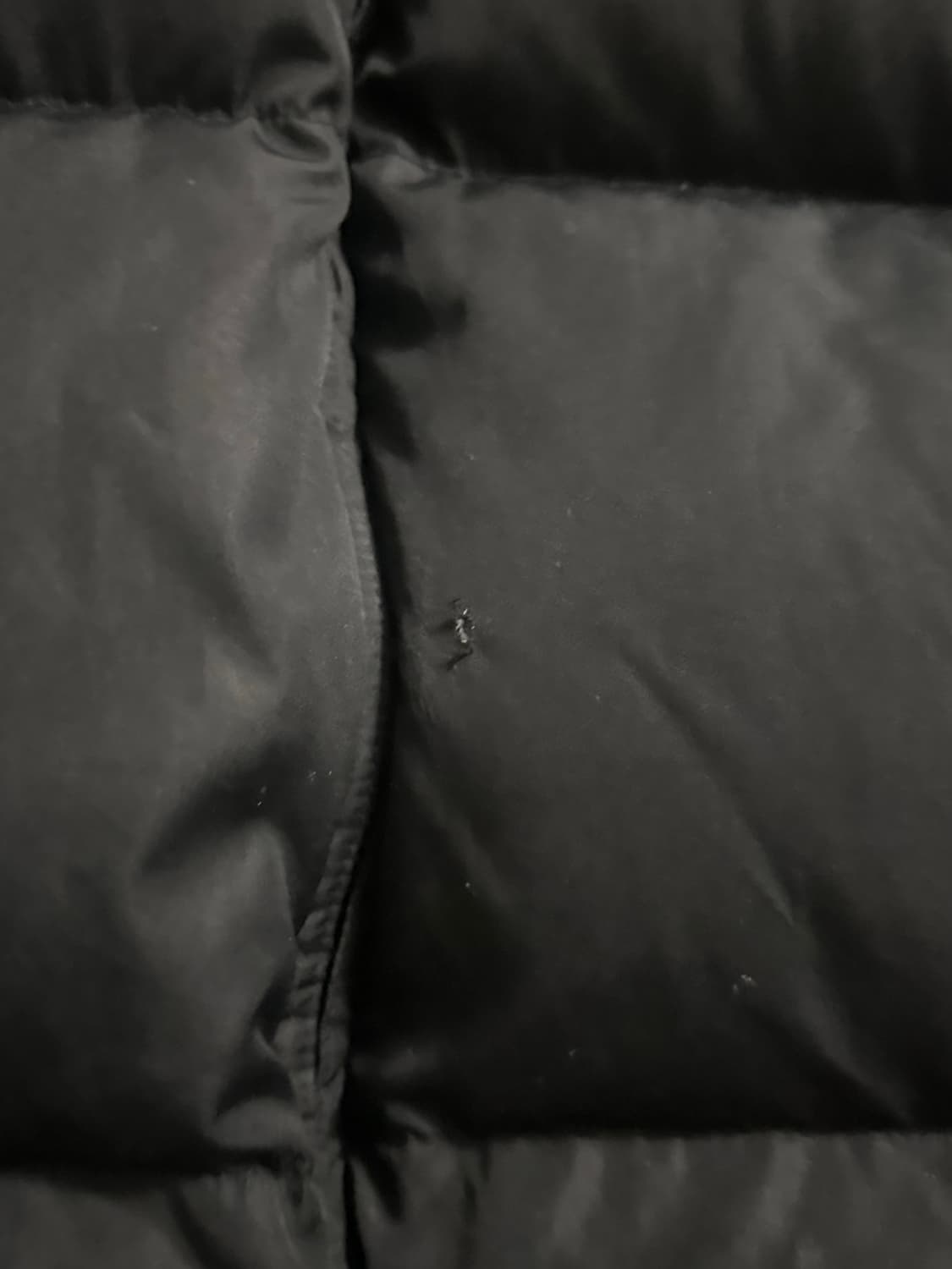 폴로 랄프로렌 패딩 상품이미지5