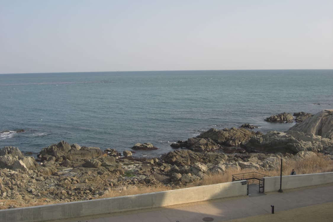 카시오 엑슬림 z1050 골드(르세라핌 은채 디카)작례포함 상품이미지6