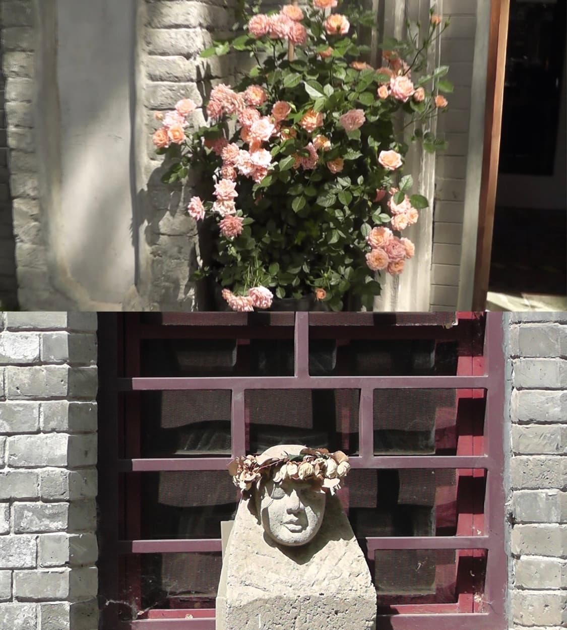 🌸고마츠나나 사용🌸Panasonic HDC-TM60 상품이미지3