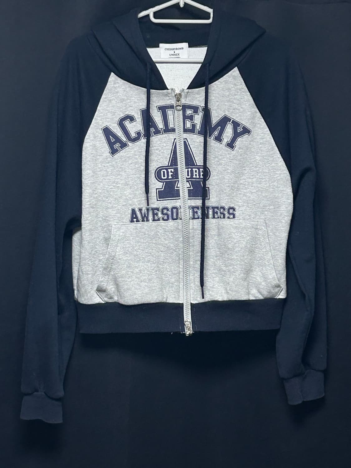 Y2K 투웨이 크롭 후드집업 그레이 네이비 배색 상품이미지1