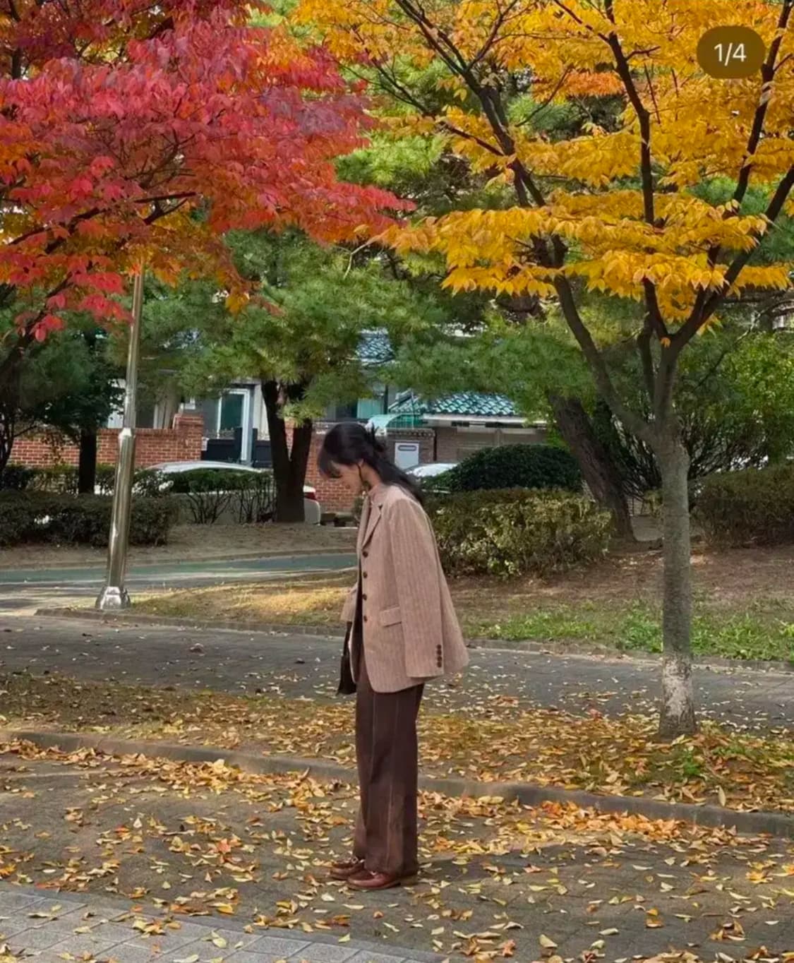 게드 ged 스트라이프 울 자켓  상품이미지4