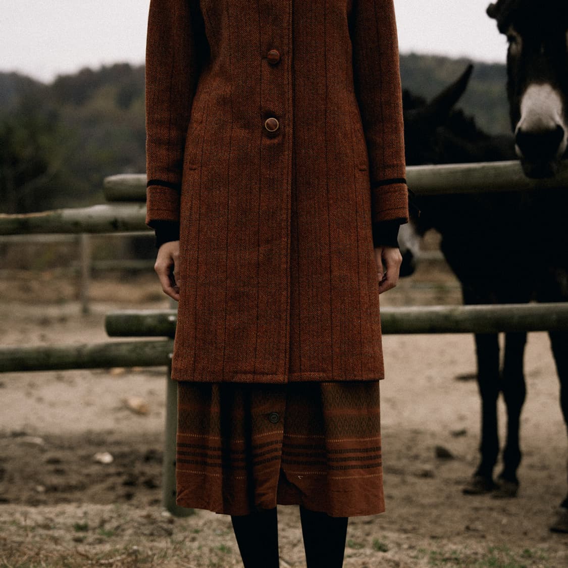 하베스트 로드 SET 상품이미지6