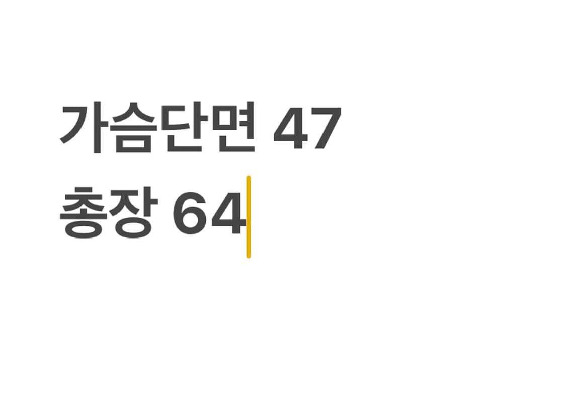 폴로랄프로렌 골드 빅포니 블랙 셔츠 상품이미지4