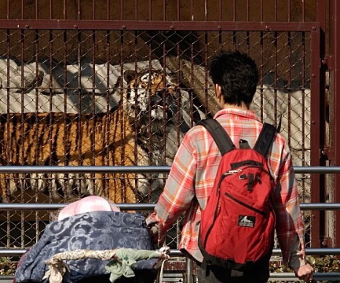 gregory backpack 90s red 상품이미지1