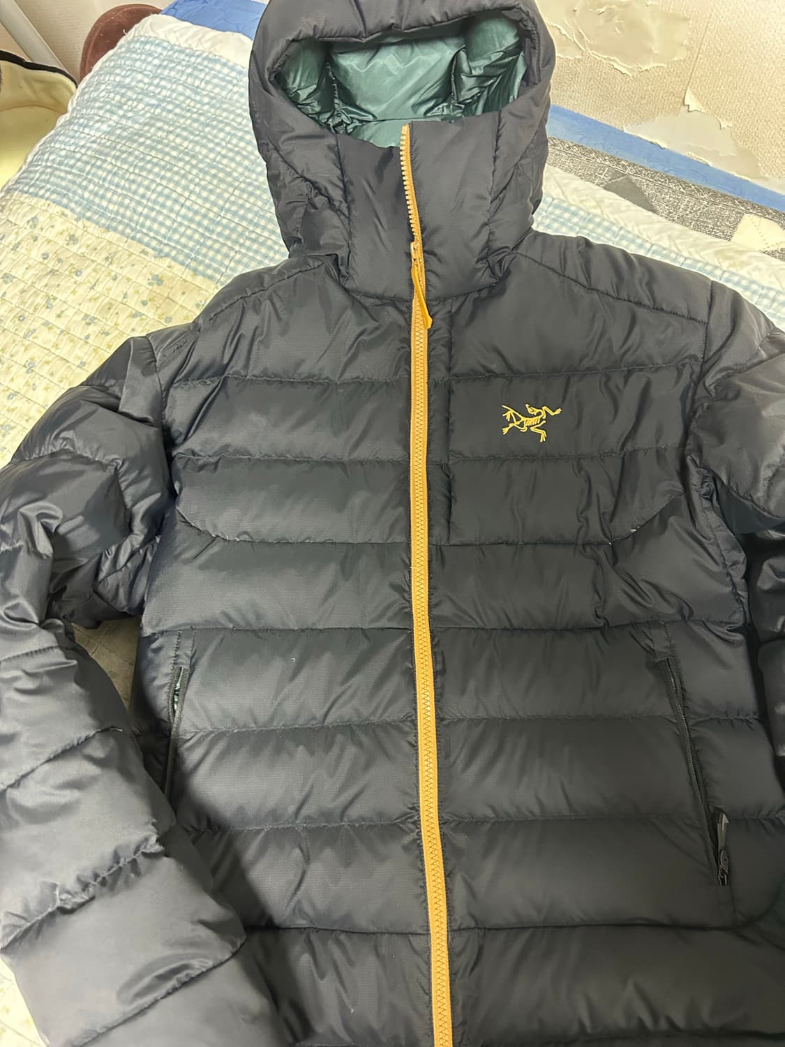 아크테릭스 토룸 후디 다크매직 상품이미지3