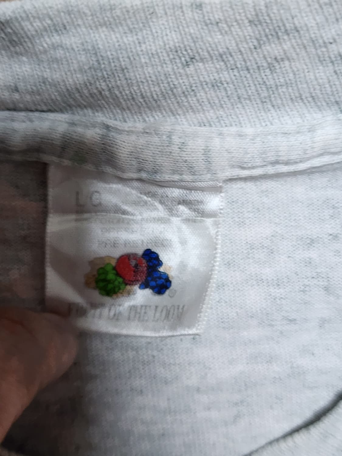 90s Fruit of the Loom 그리즐리 베어 빈티지 티셔츠43 상품이미지4