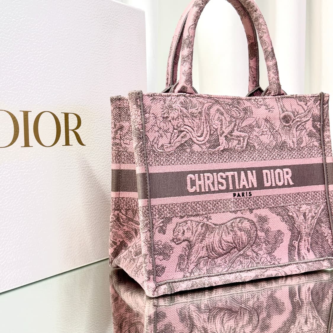 디올 뜨왈드주이 북토트백 스몰 핑크 상품이미지4