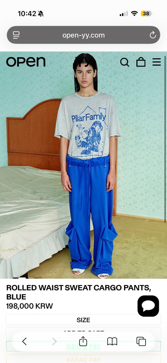 Openyy 오픈와이와이 cargo pants blue 카고팬츠 상품이미지1