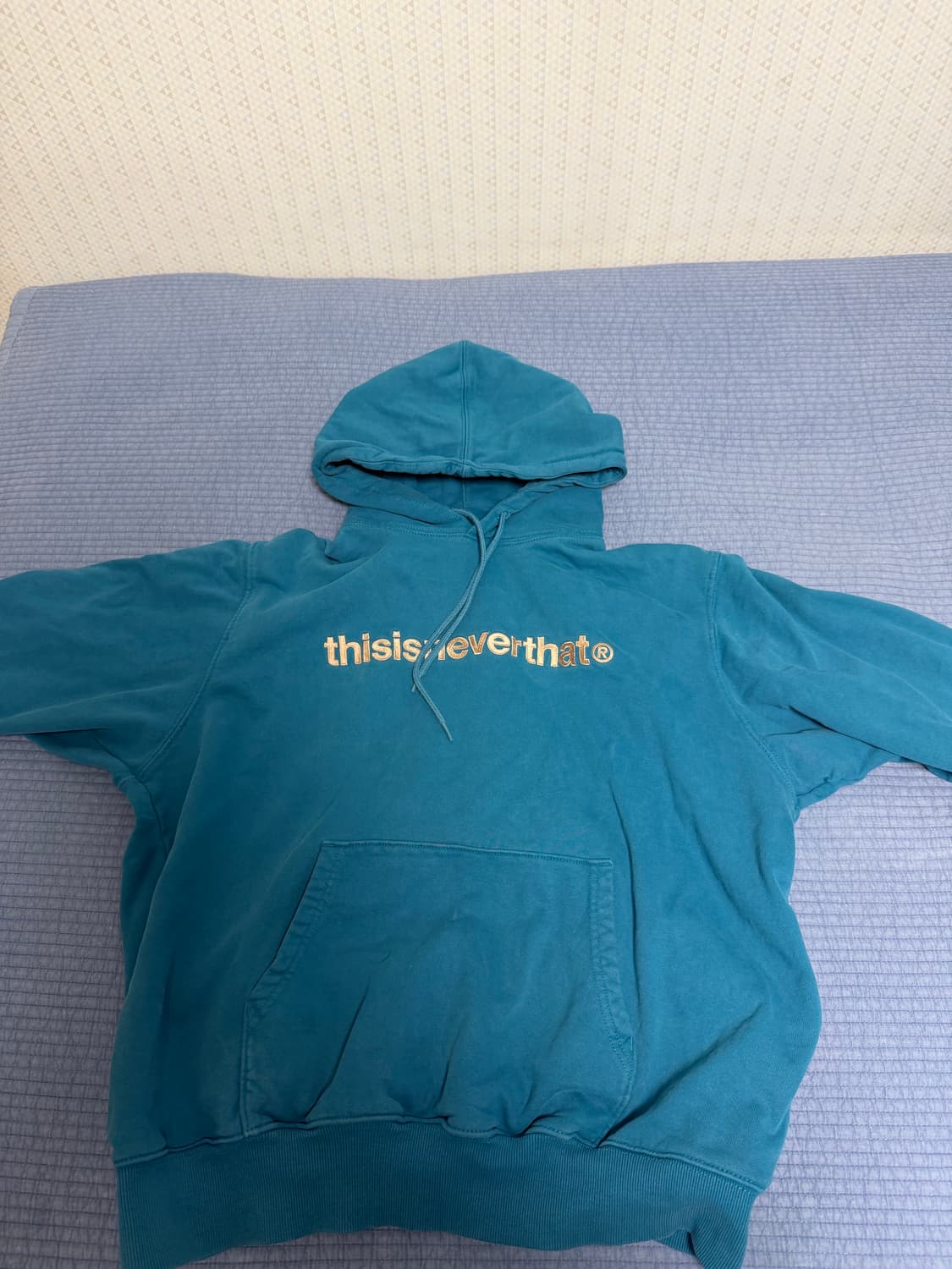 디스이즈네버댓 후드티 L 상품이미지1