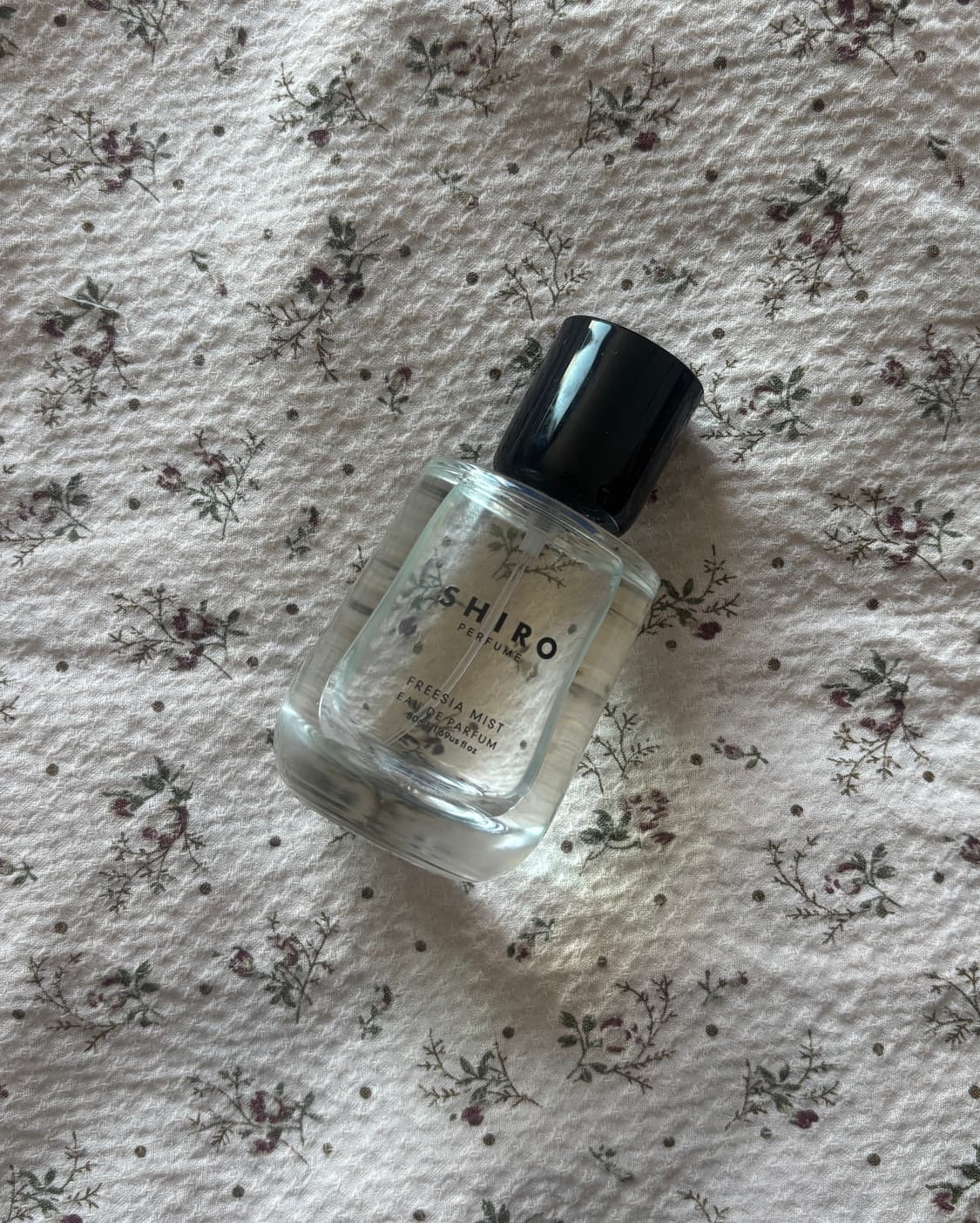 Shiro 시로 프리지아 미스트 오 드 퍼퓸 50ml 상품이미지1