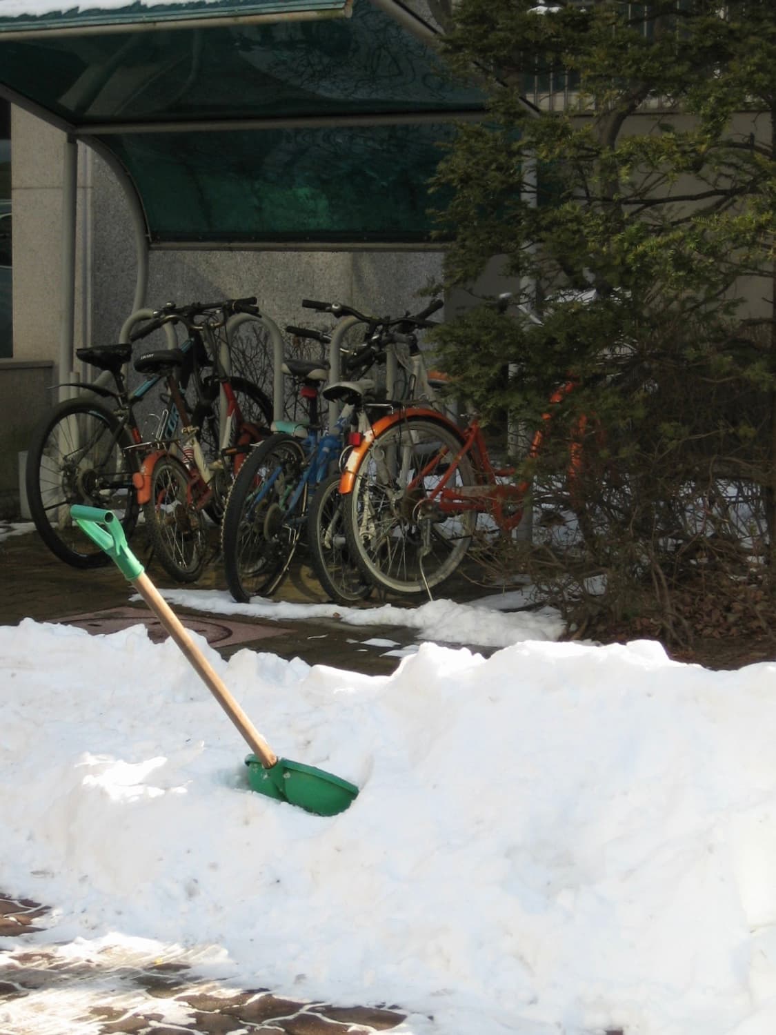 아이유 디카로 유명한 캐논 IXY 55 디카! (작례O ) 상품이미지5