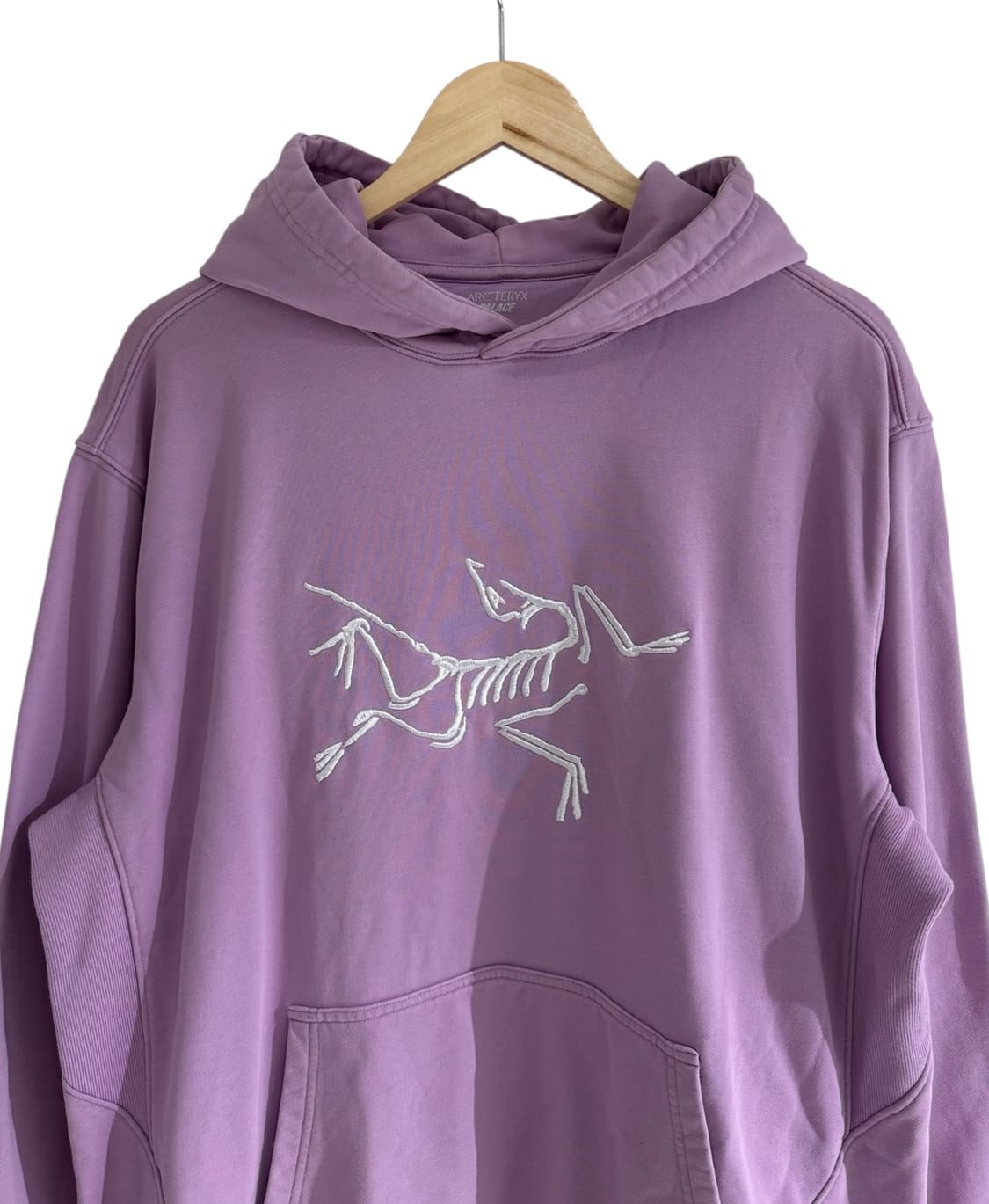 아크테릭스 X 팔라스 후드 헤이즈 상품이미지4