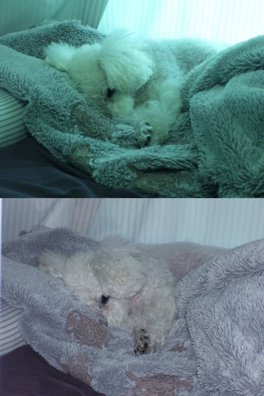 코닥 이지쉐어 C340 빈티지 디지털카메라 상품이미지10