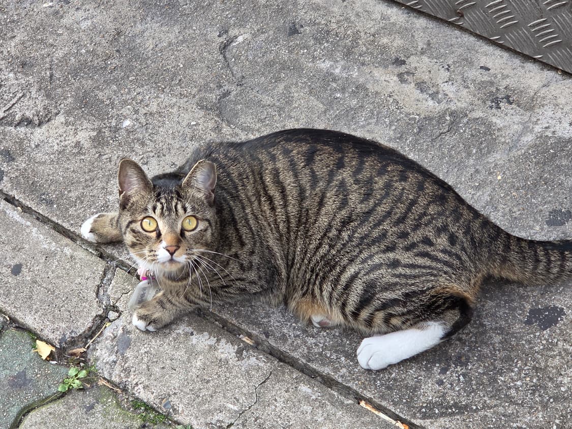 금토일 3일간 급처해봅니다 상품이미지1