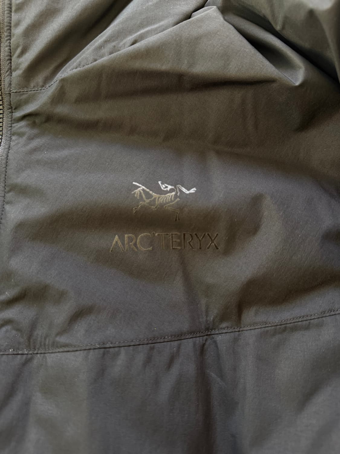 [L] 아크테릭스 리프 콜드 후디  상품이미지3