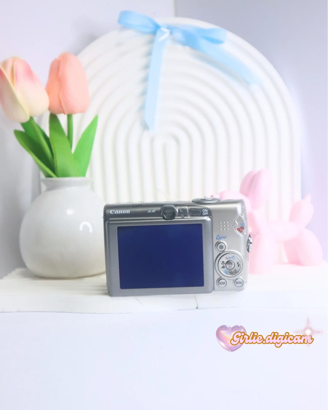 토모토모의픽!))  캐논 익서스950is/익시 810is 상품이미지5