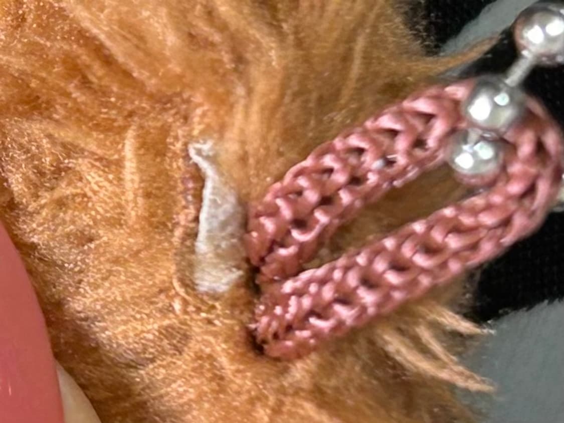 베이프 잡지부록 백팩 가방(키링포함) 상품이미지3