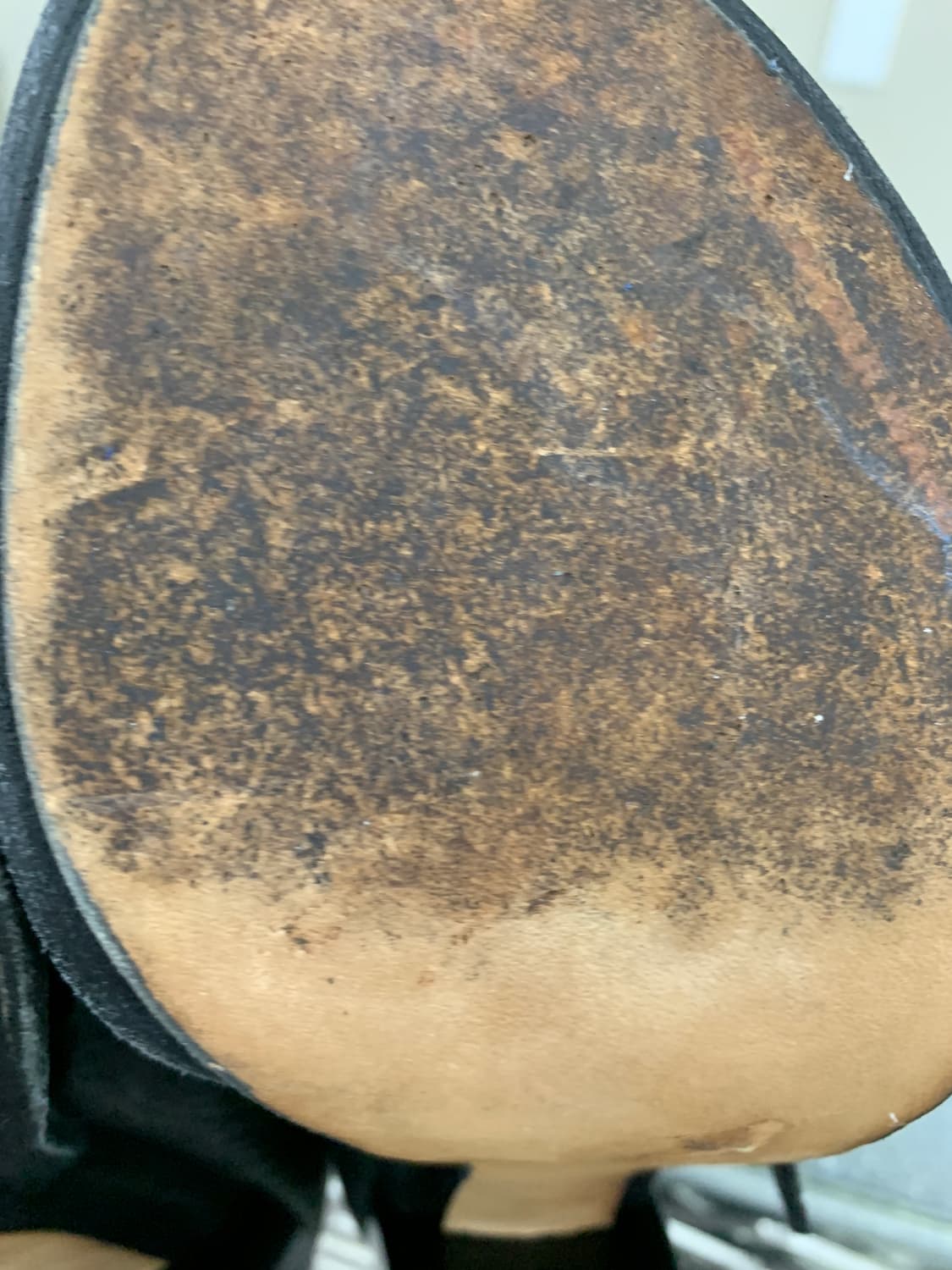 알렉산더왕 가죽 앵클 스트랩 샌들 38(240) 상품이미지5