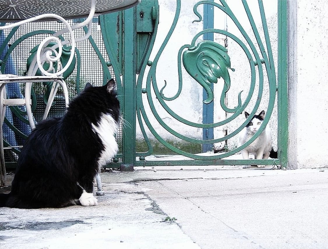 [하이엔드&초레어!] 후지필름 Finepix F710 디지털카메라 상품이미지9