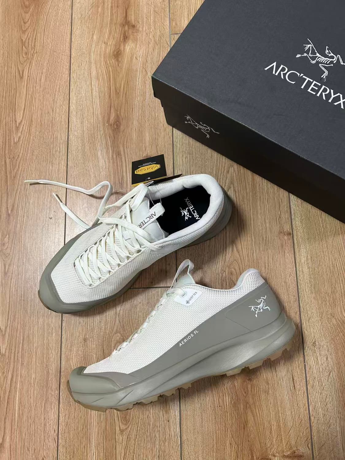 아크테릭스 에어리어스 FL 2 고어텍스 아크틱 실크 스모크 블러프 상품이미지2