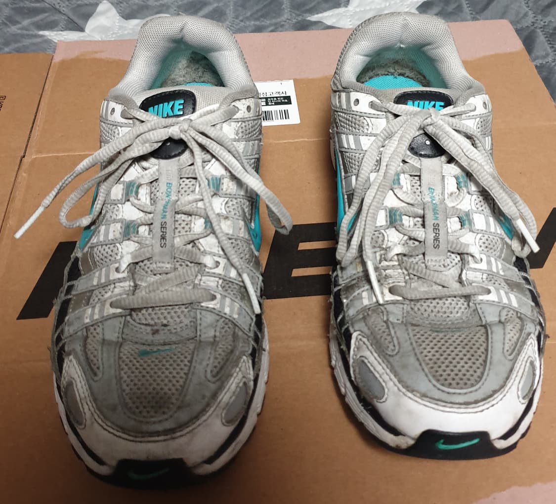 나이키 P-6000 메탈릭실버 더스티 캑터스 (250)CD6404-103 상품이미지3