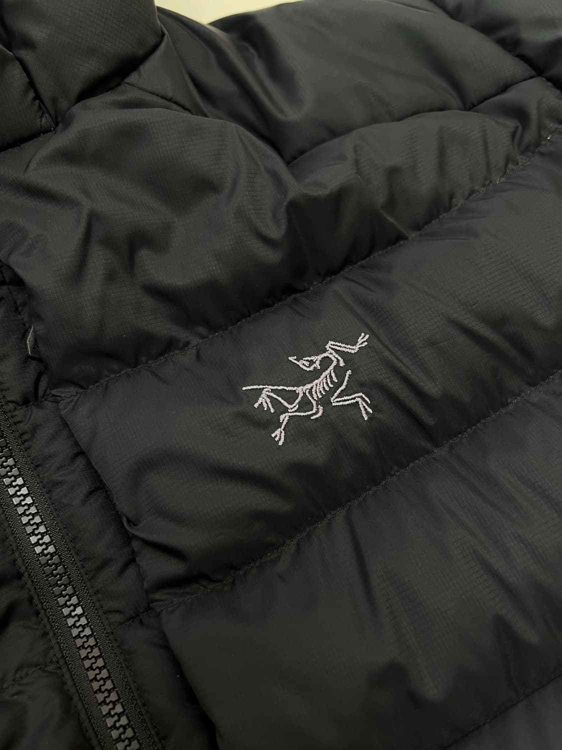 아크테릭스 토륨 후디 상품이미지5