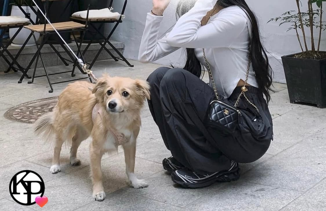 카키포인트 y2k 카고 팬츠 블랙 상품이미지4