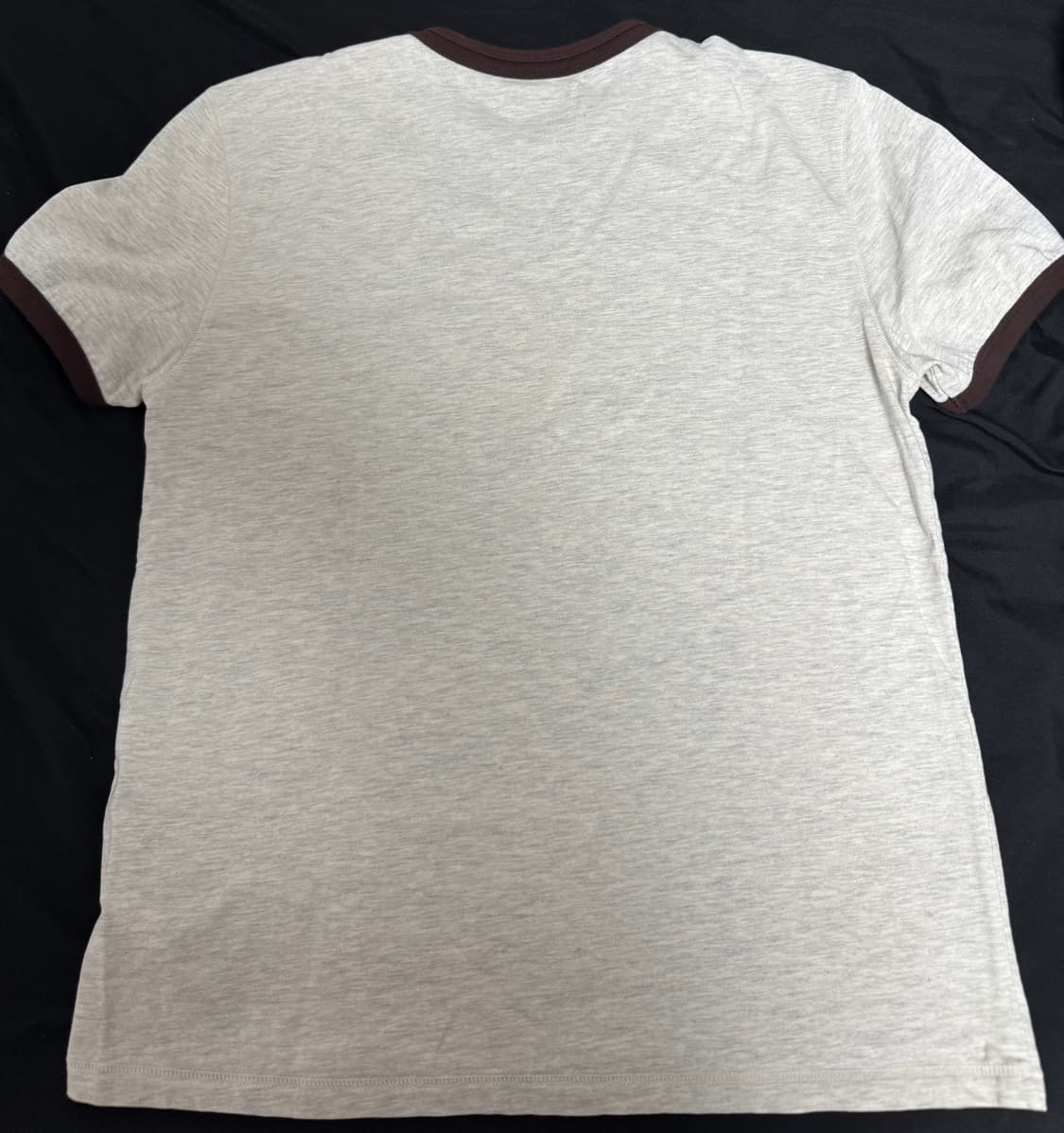 아포페니아 링거티 오트밀 (S) 상품이미지3