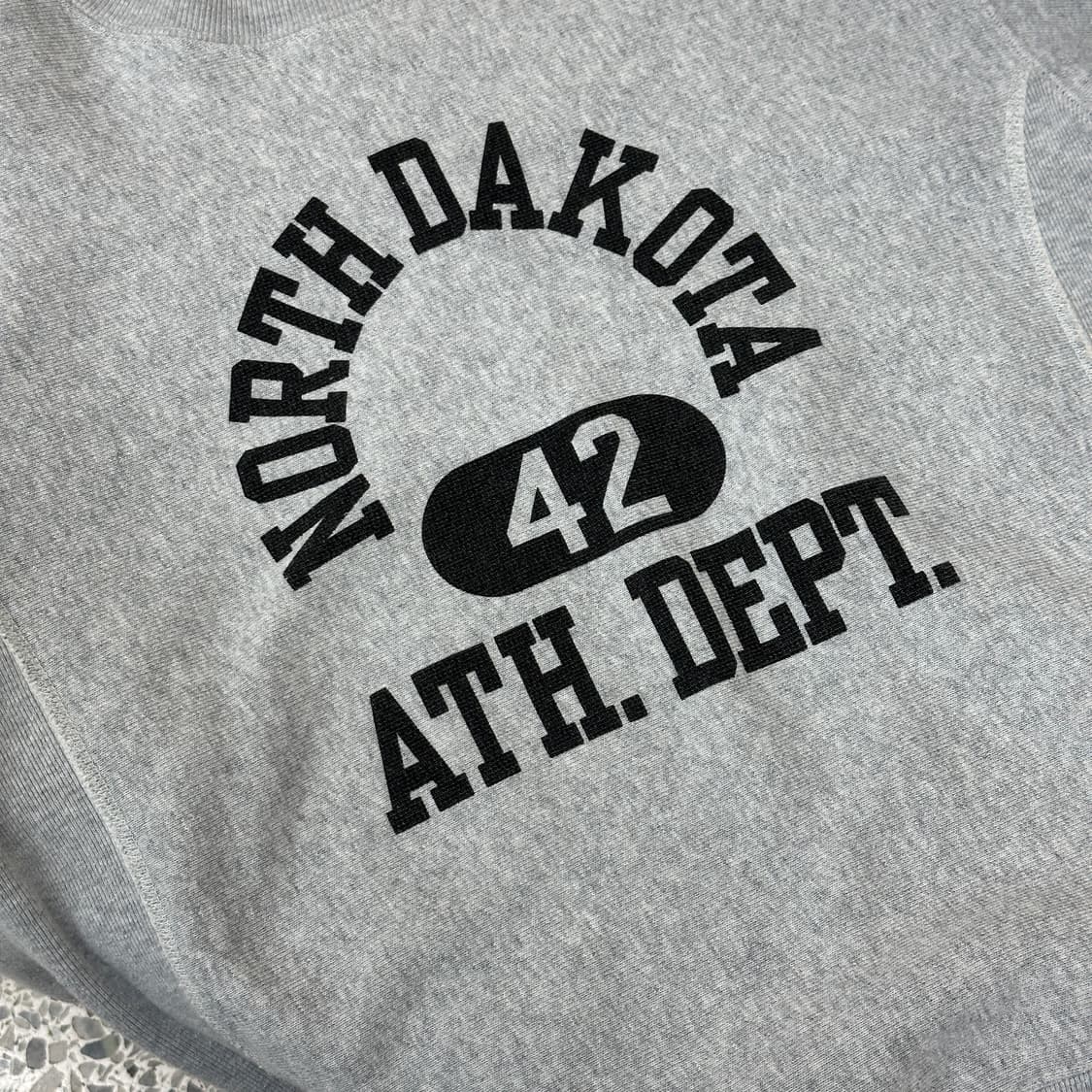 [L] 챔피온 노스다코타 스웻셔츠 맨투맨  상품이미지2