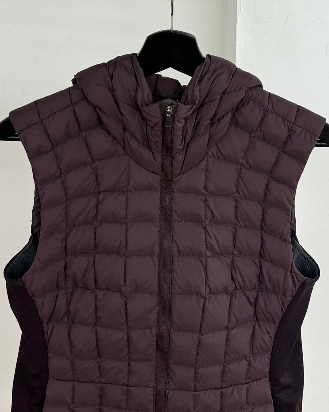 아크테릭스 퍼플 나린 다운 베스트 상품이미지2