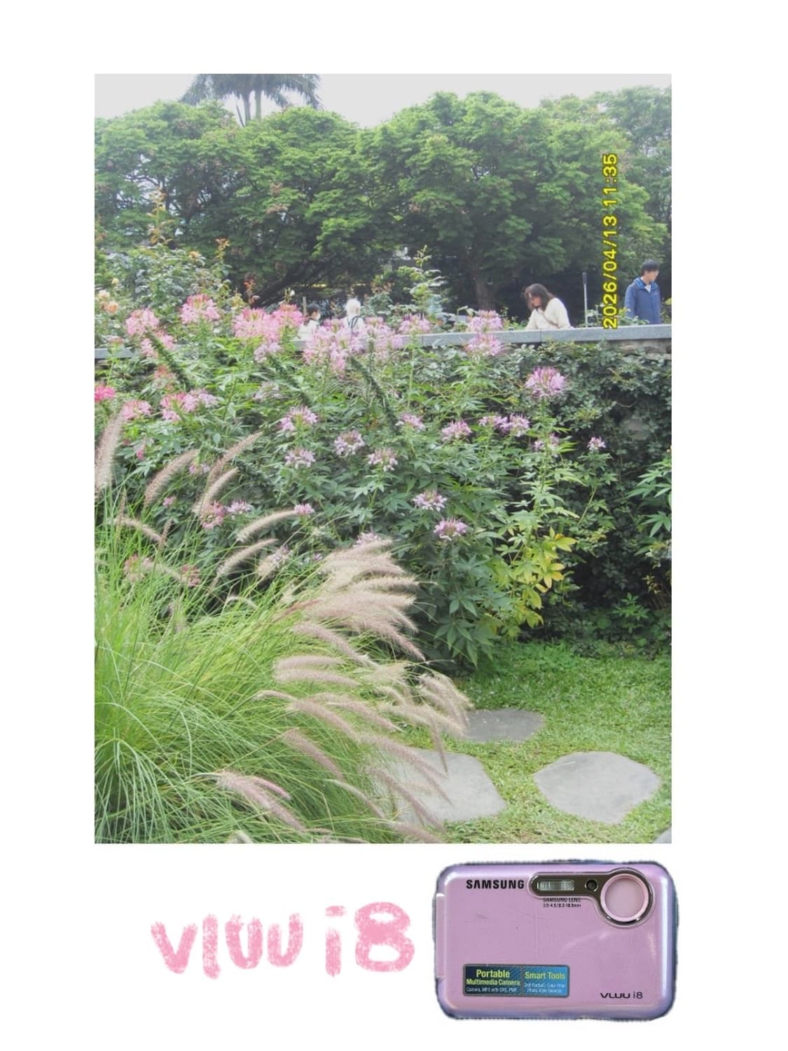 [✨디카 대여 / 아이폰 대여✨] 아이폰 5,6,7 / 디카 VLUU i 상품이미지5