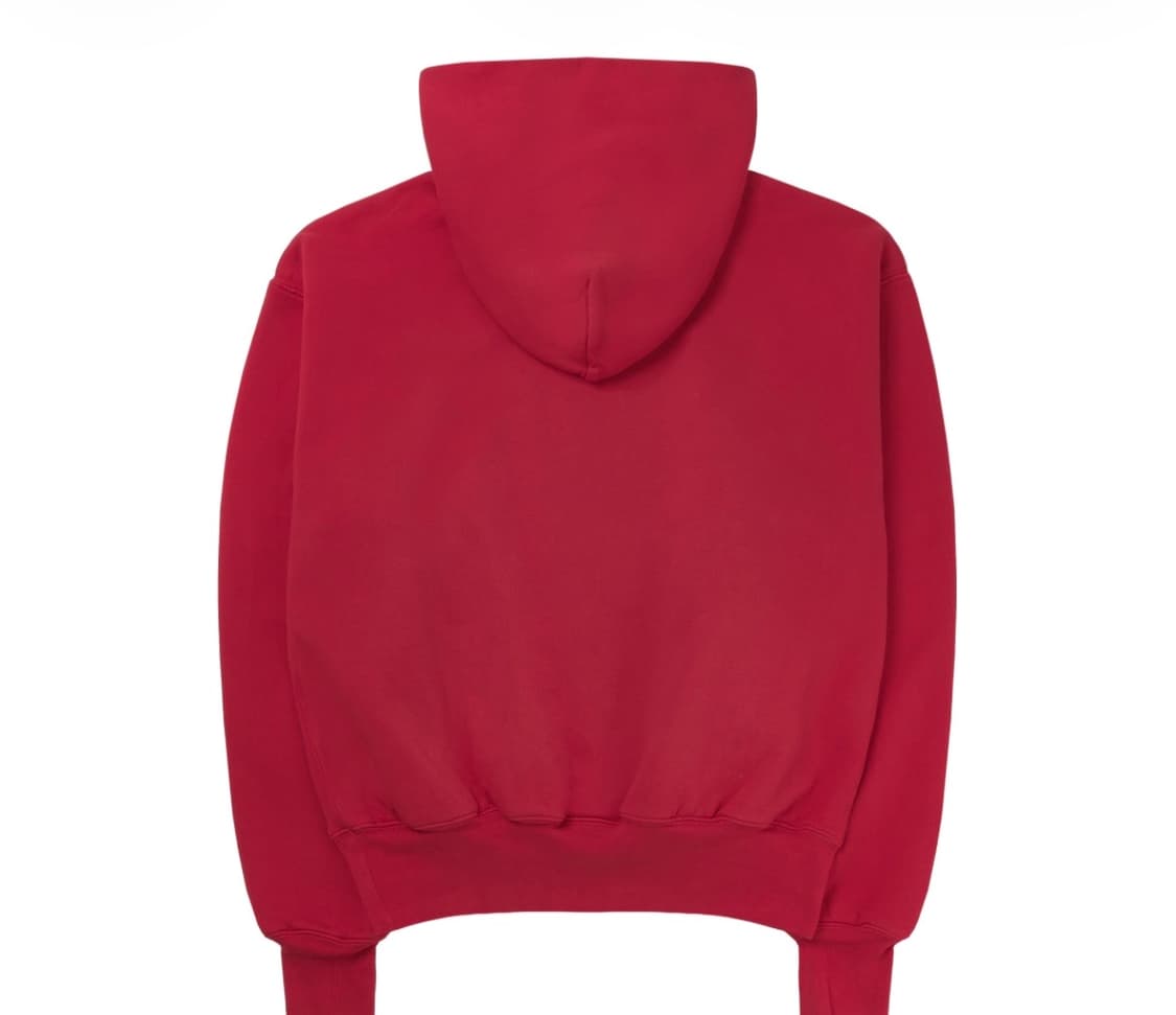 이지 갭 후드 레드 상품이미지2