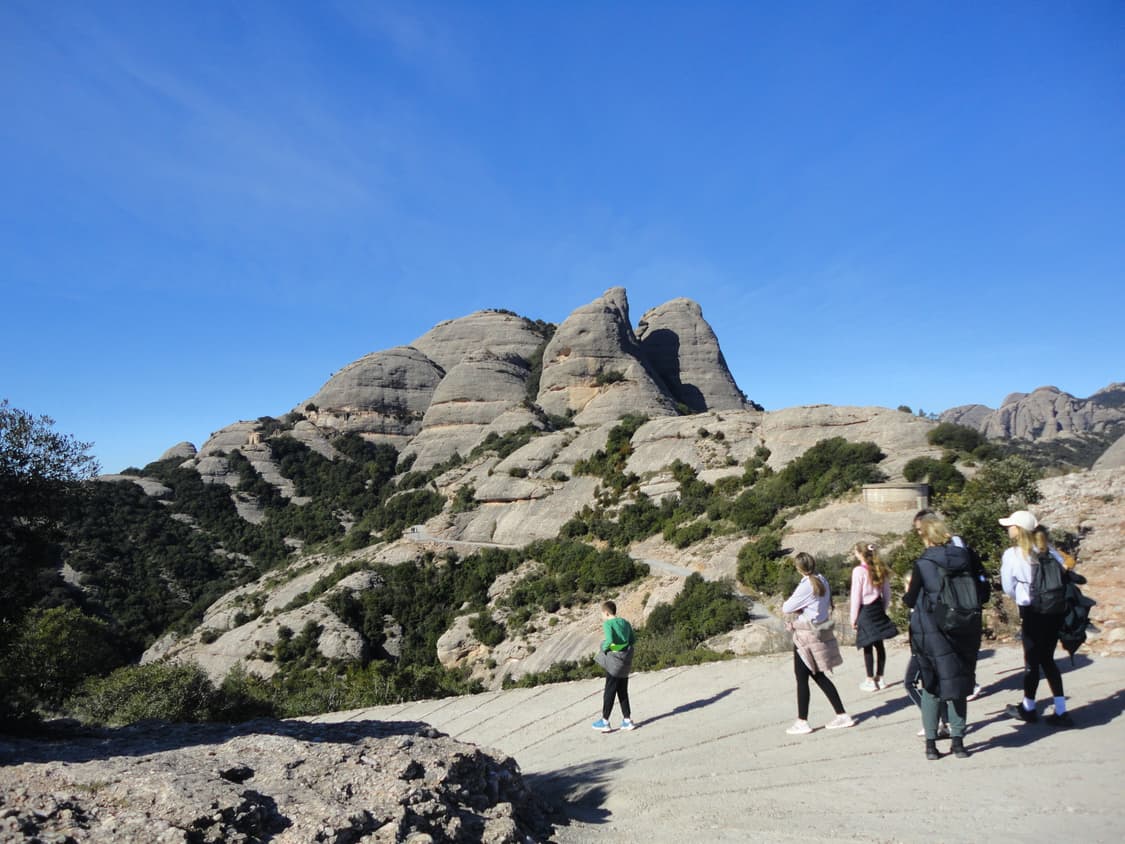 캐논 익서스 65 디지털 카메라 판매합니다. 상품이미지6