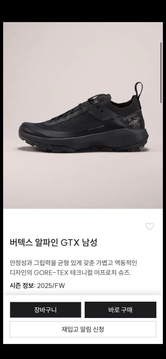 아크테릭스 버텍스 알파인 270 고어텍스 gtx 상품이미지7