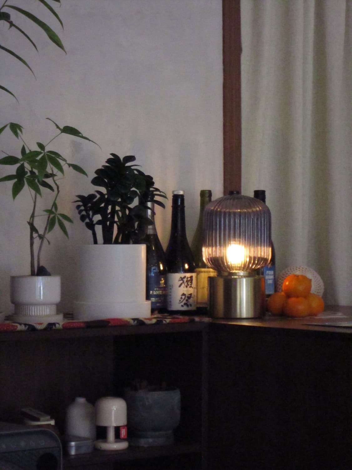 캐논 익서스 200 IS 실버 상품이미지9